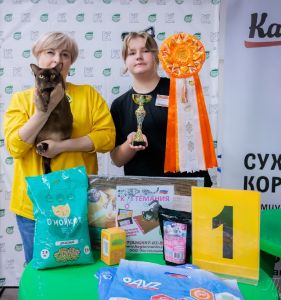 Выставки