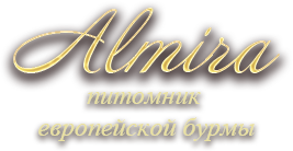 Питомник Европейской Бурмы